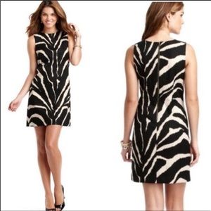 Loft Animal Print Dress Size 12